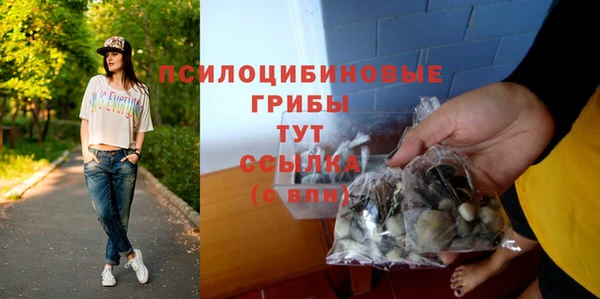 гидропоника Абаза