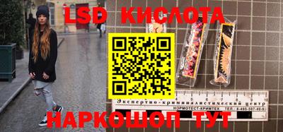 стаф Новокубанск