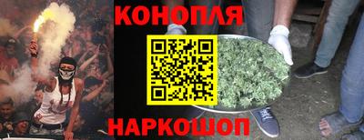 стаф Новокубанск