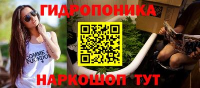 стаф Новокубанск