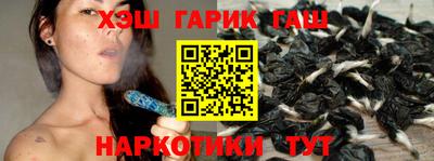 стаф Новокубанск
