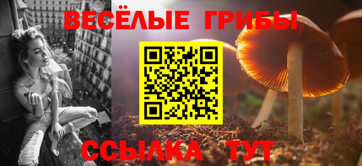 Псилоцибиновые грибы прущие грибы  Псилоцибиновые грибы GOLDEN TEACHER  Вход с VPN  наркошоп  Одинцово 